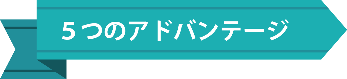 ５つのアドバンテージ