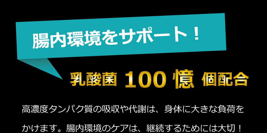 乳酸菌100憶個