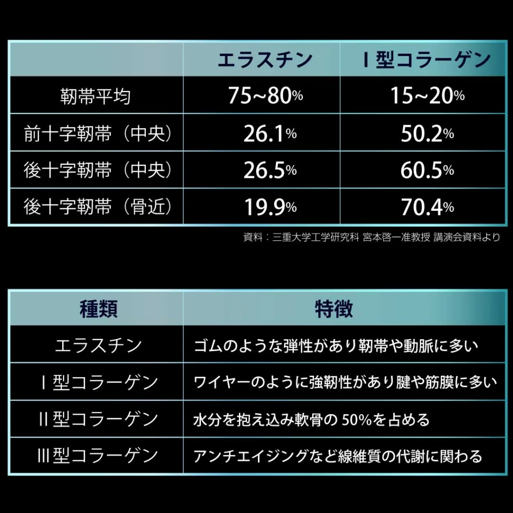 線維状タンパク質の種類